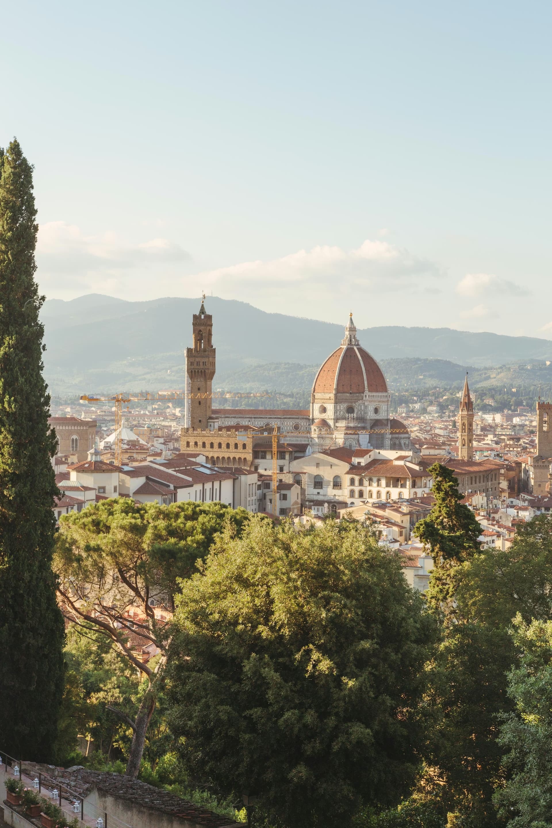 Florence study experience